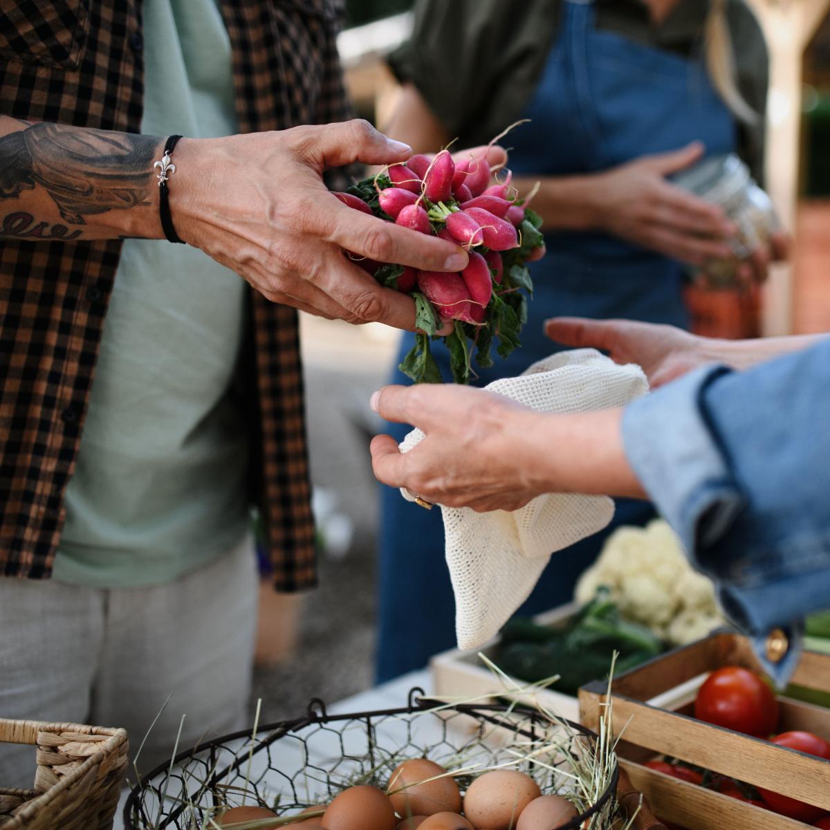 A closeup shot of the hands of two people filling up a bag with produce at a farmers market